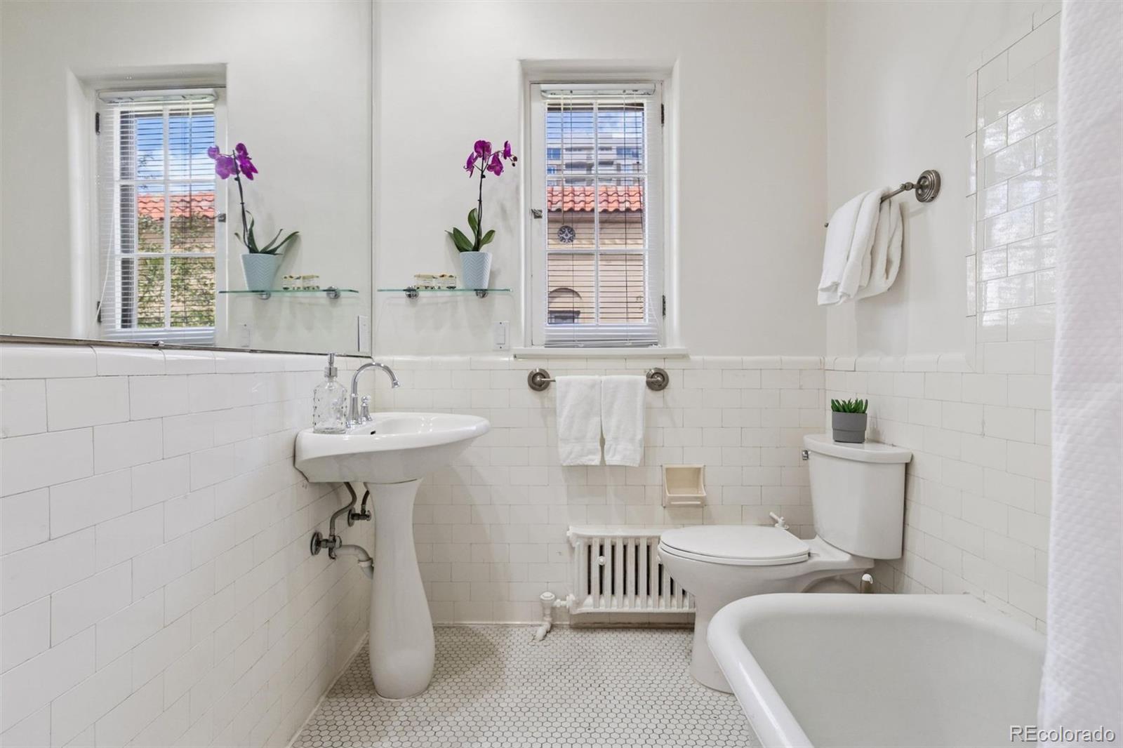 MLS Image #18 for 1515 e 9th avenue,denver, Colorado