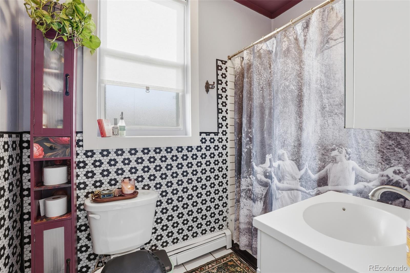 MLS Image #16 for 521  elm street,leadville, Colorado