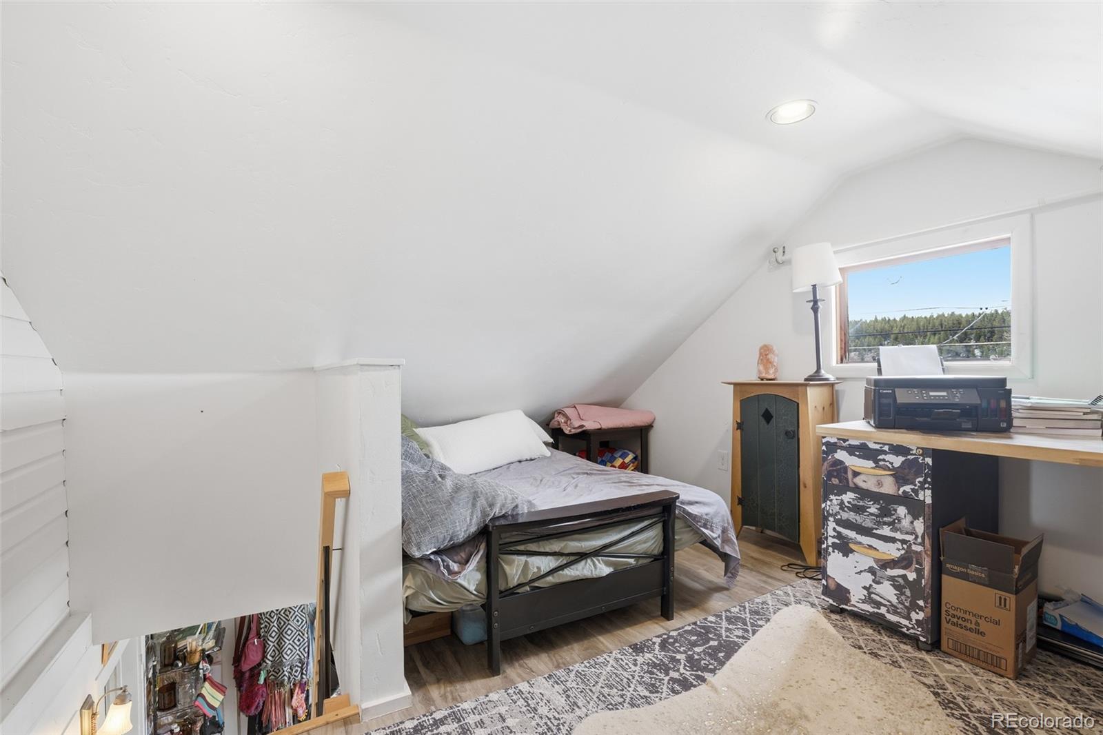 MLS Image #23 for 521  elm street,leadville, Colorado