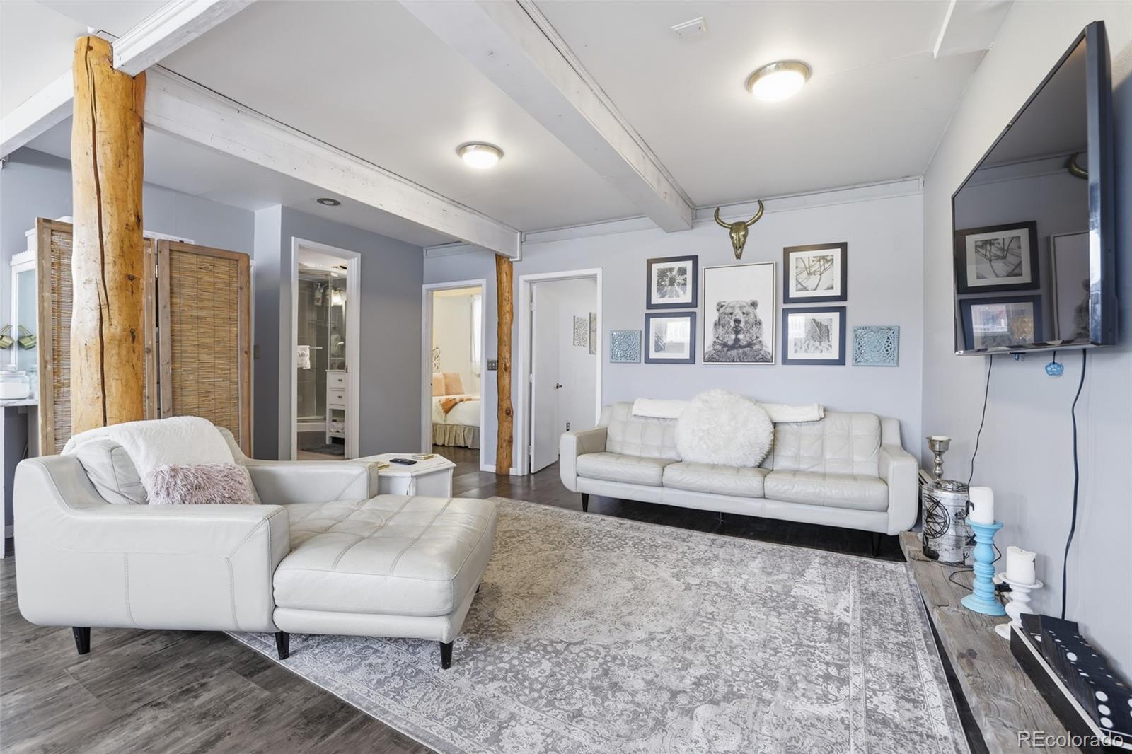 MLS Image #39 for 521  elm street,leadville, Colorado