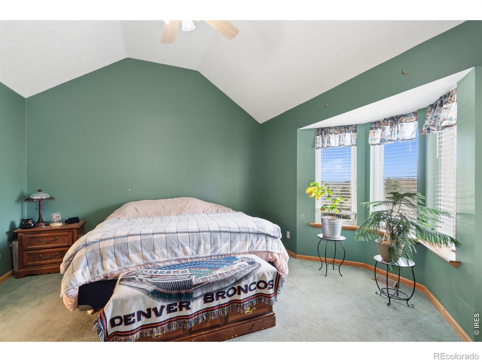 MLS Image #14 for 801  montcalm drive,livermore, Colorado