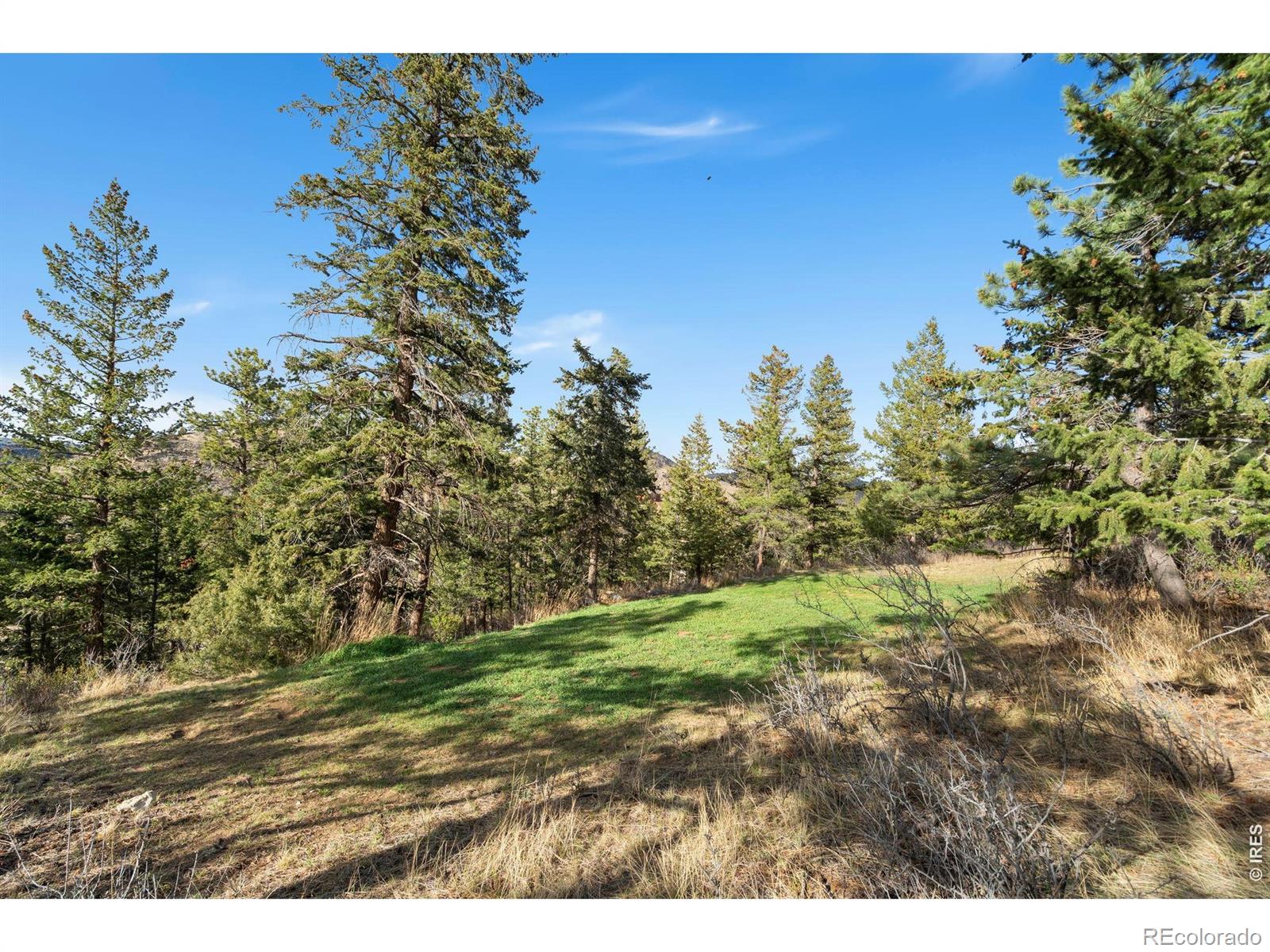 MLS Image #43 for 801  montcalm drive,livermore, Colorado