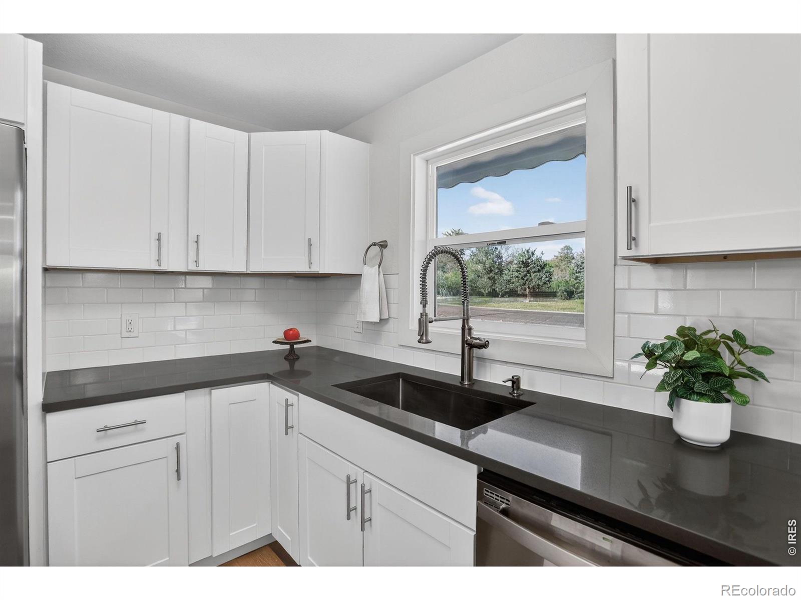 MLS Image #11 for 2016 w lake street,fort collins, Colorado