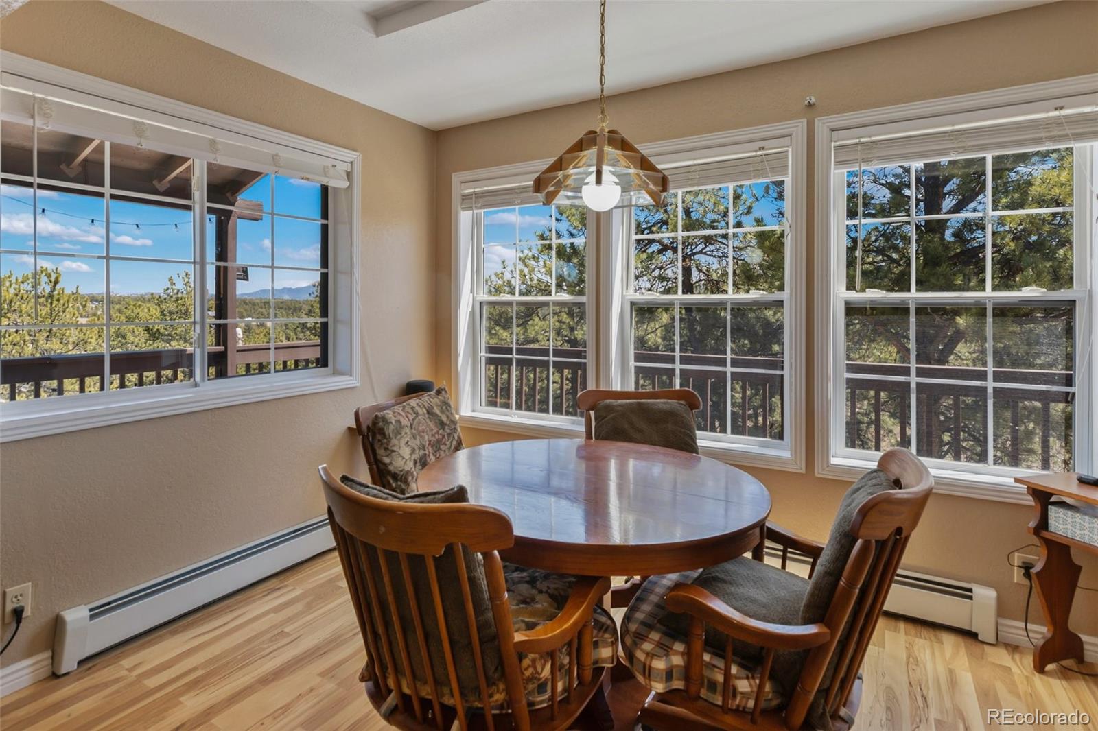 MLS Image #13 for 6960  county rd 71 ,guffey, Colorado