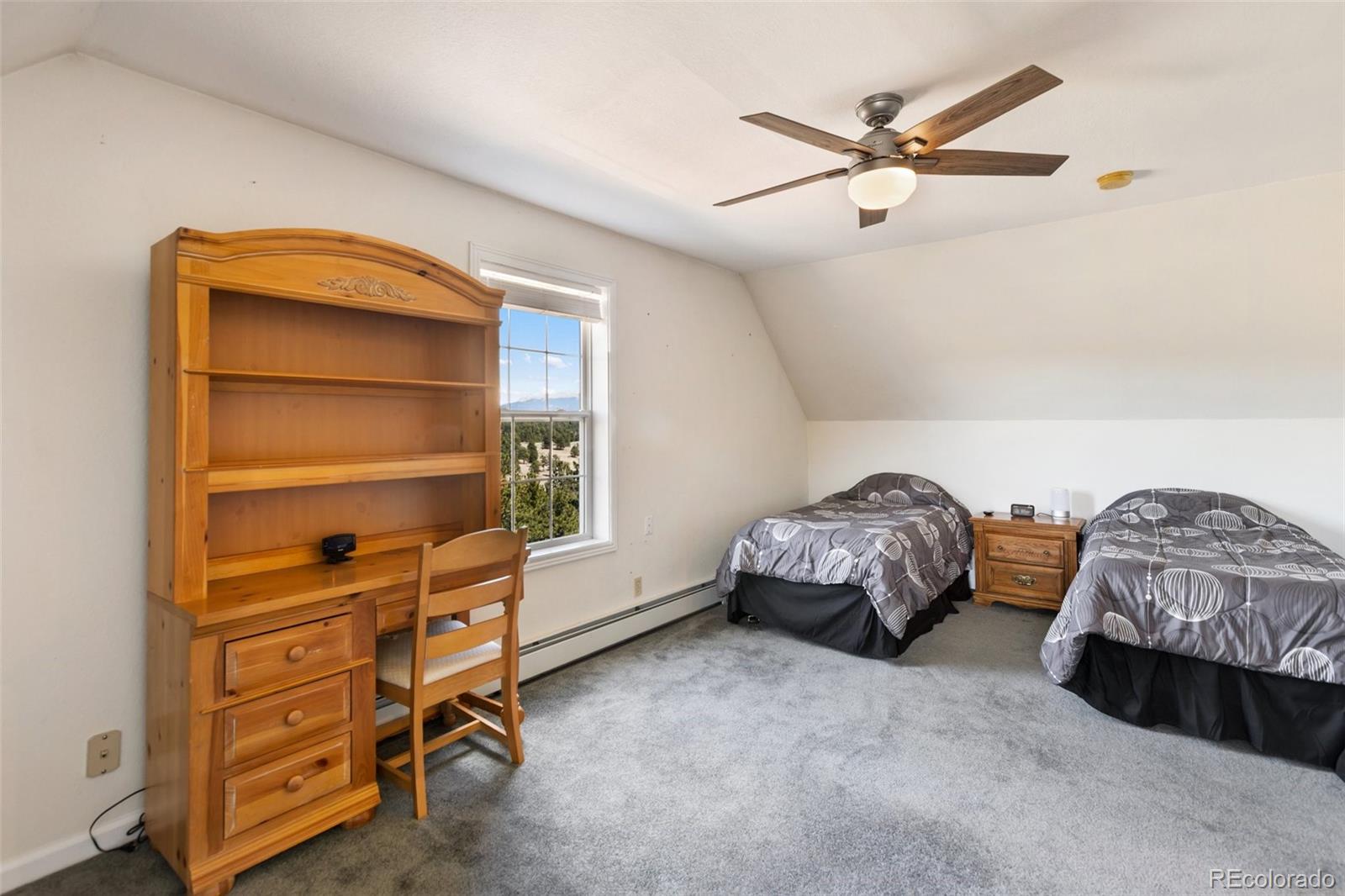 MLS Image #19 for 6960  county rd 71 ,guffey, Colorado