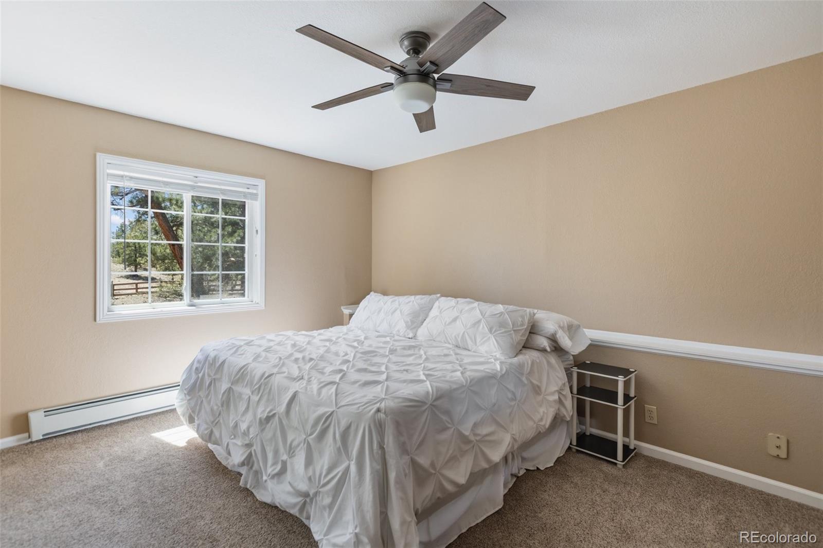 MLS Image #22 for 6960  county rd 71 ,guffey, Colorado