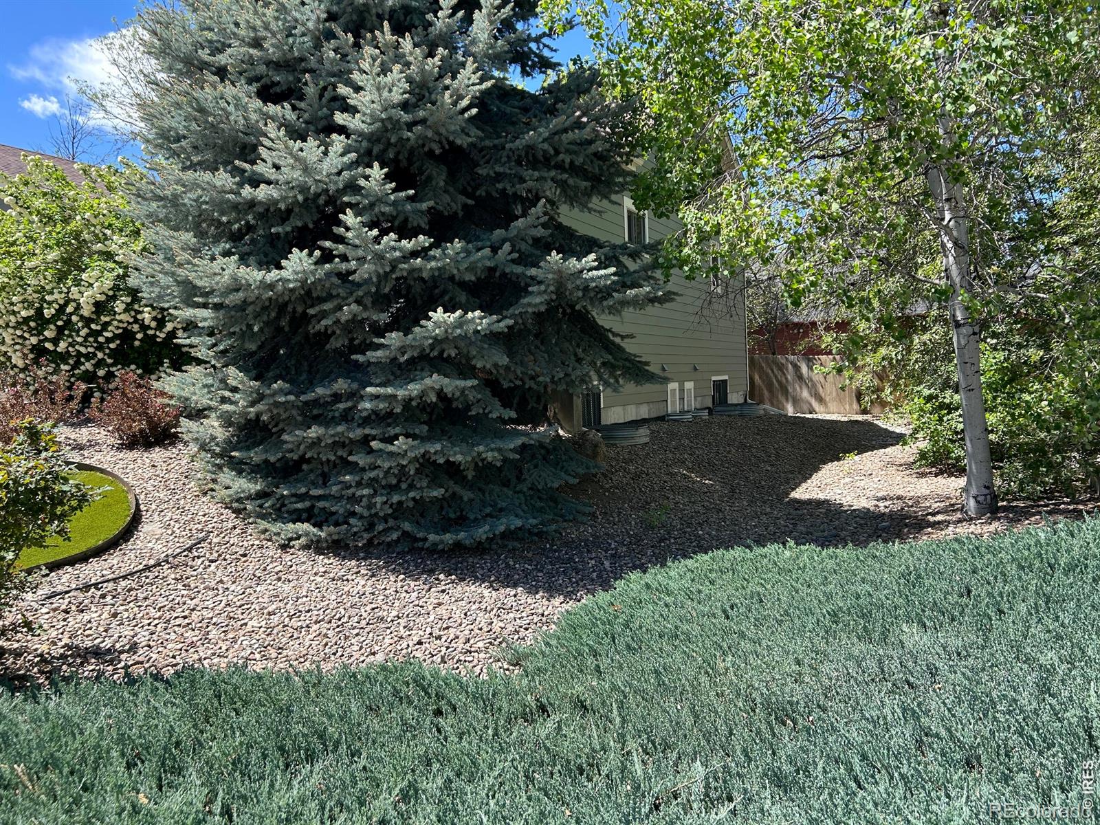 MLS Image #30 for 3845  cody street,wheat ridge, Colorado