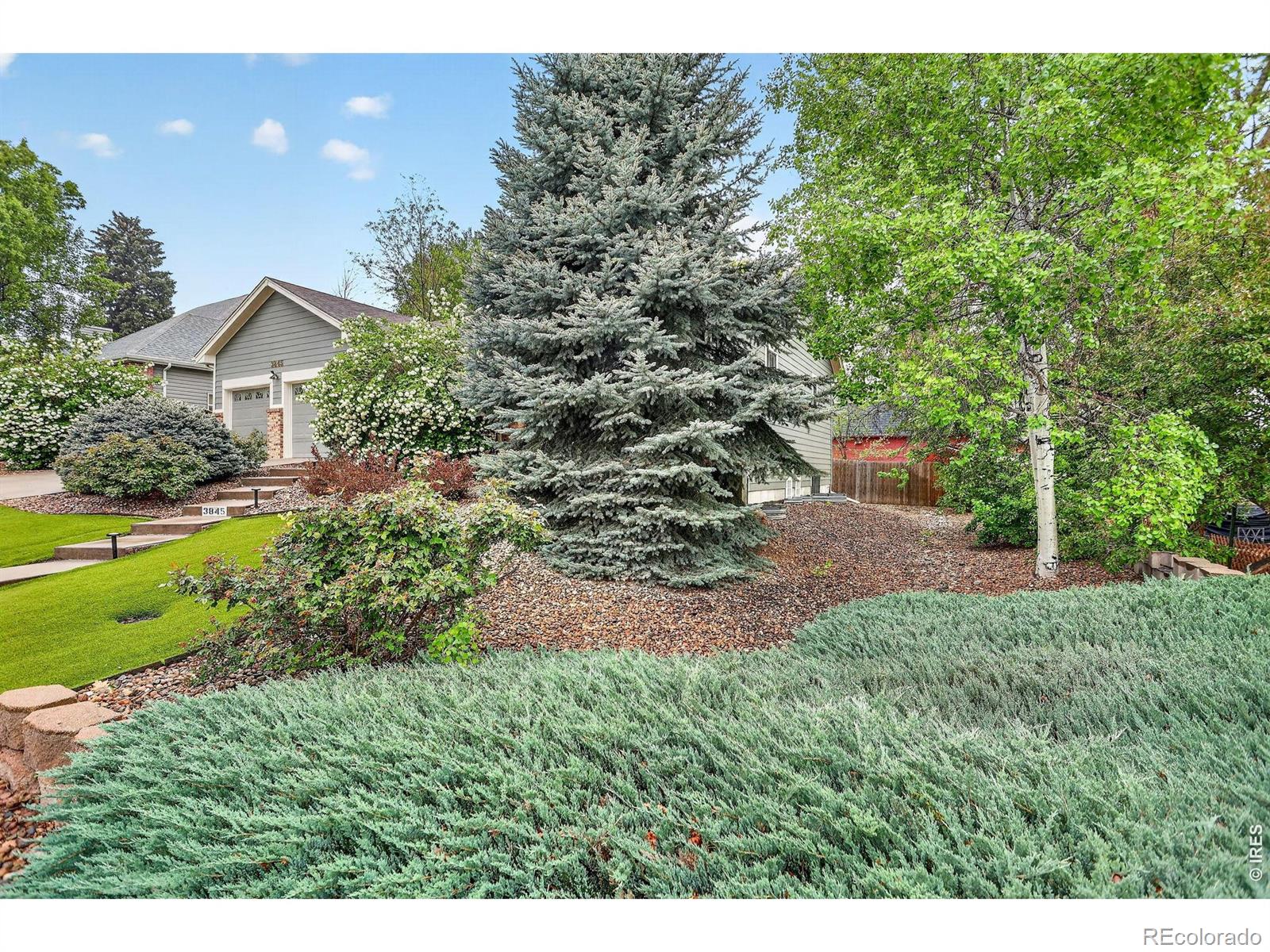 MLS Image #42 for 3845  cody street,wheat ridge, Colorado