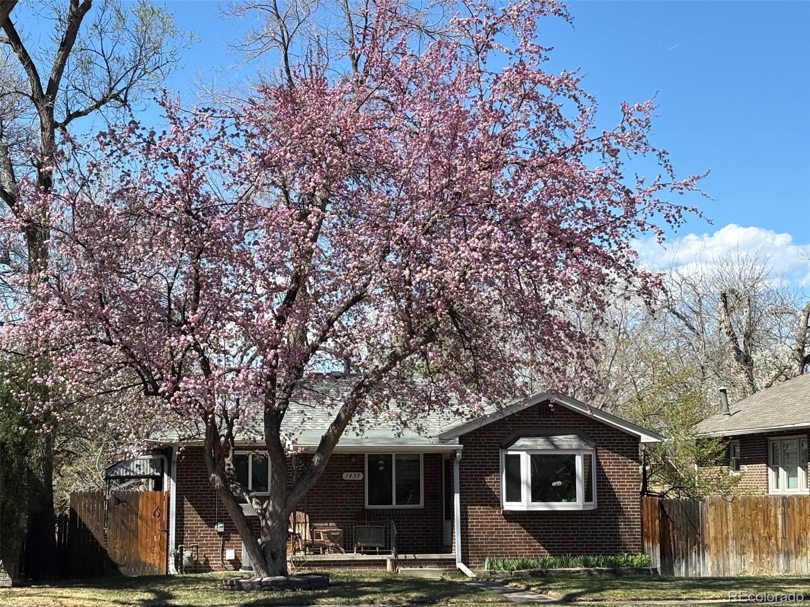 MLS Image #0 for 1439 s university boulevard,denver, Colorado