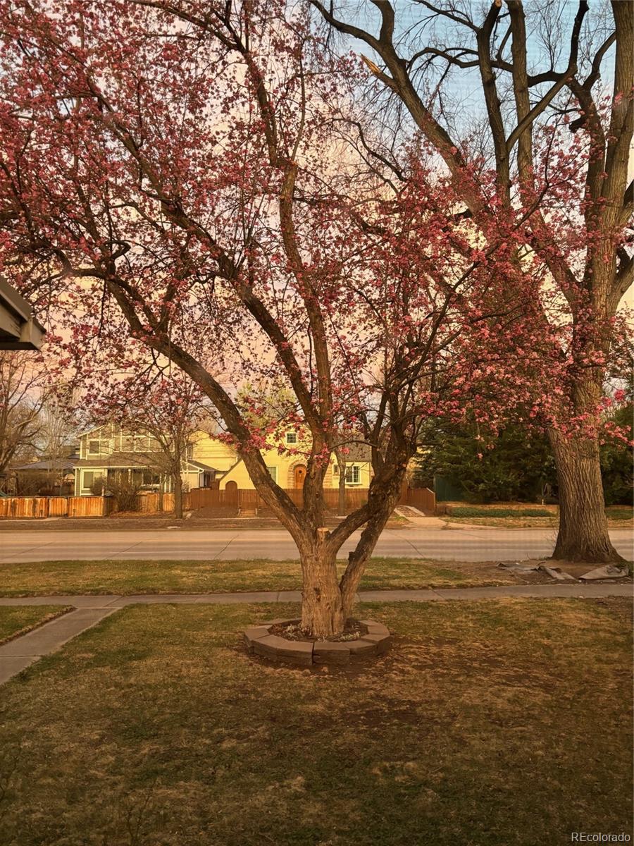 MLS Image #1 for 1439 s university boulevard,denver, Colorado