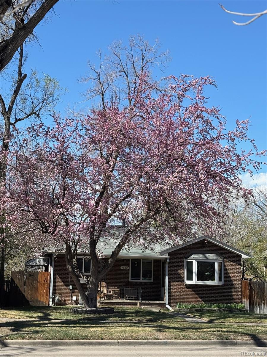 MLS Image #2 for 1439 s university boulevard,denver, Colorado