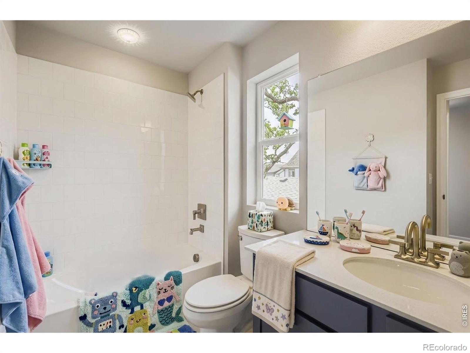 MLS Image #16 for 2569  violet cress lane,fort collins, Colorado