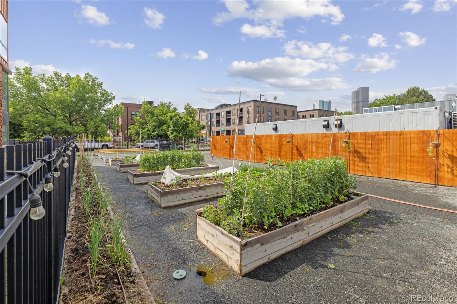 MLS Image #19 for 2525  arapahoe street,denver, Colorado