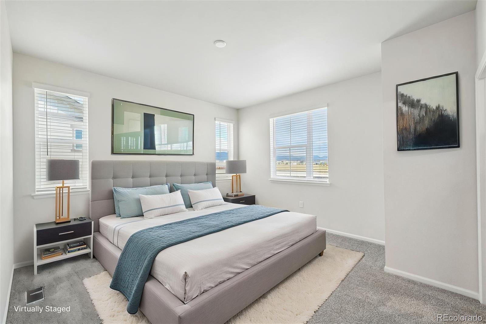 MLS Image #22 for 9109  snake river street,littleton, Colorado