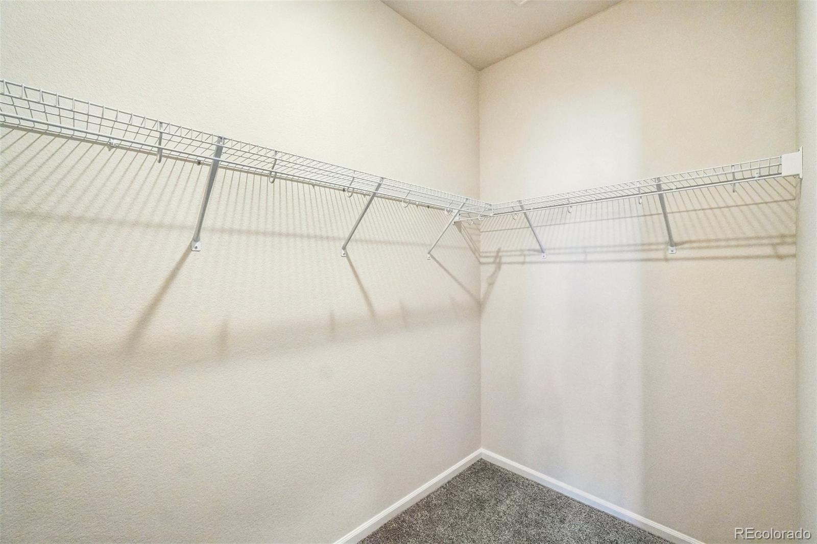 MLS Image #26 for 9109  snake river street,littleton, Colorado