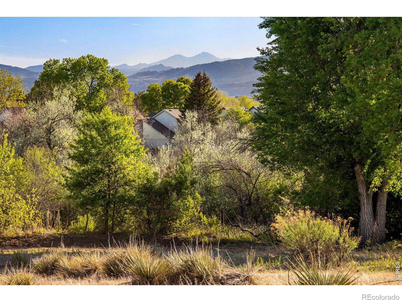 MLS Image #20 for 1032  linden gate court,fort collins, Colorado