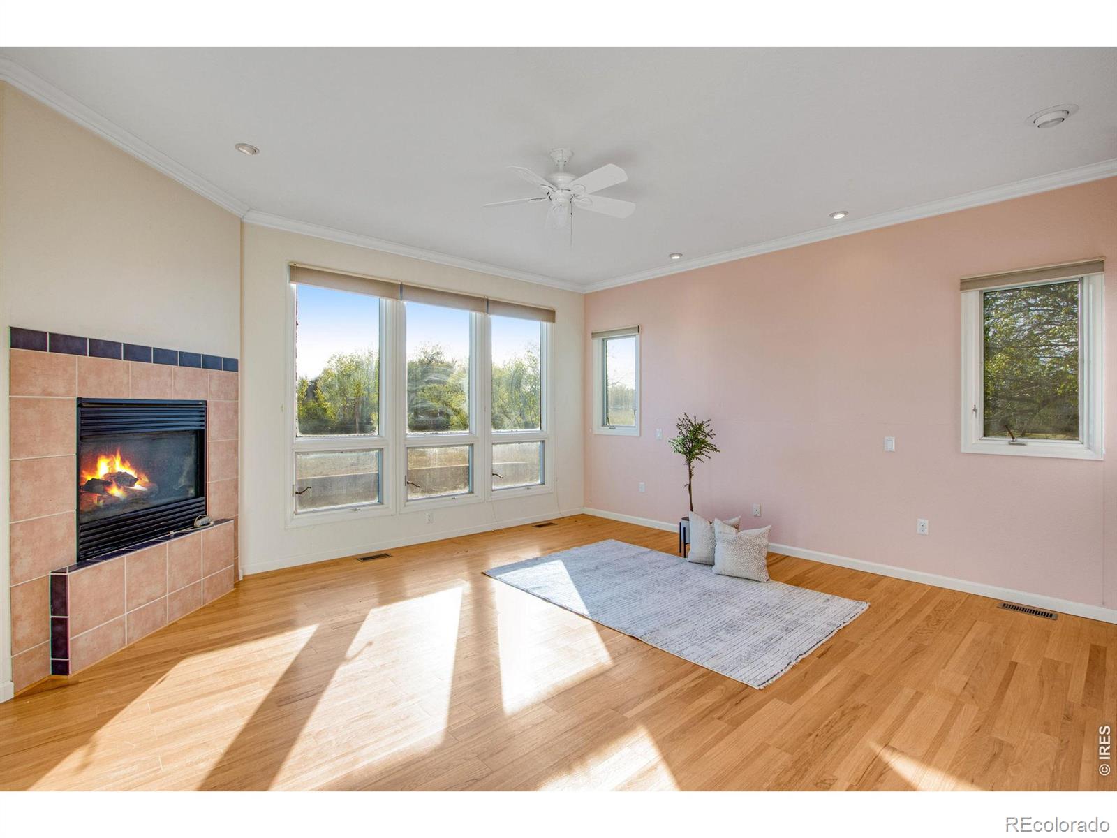 MLS Image #36 for 1032  linden gate court,fort collins, Colorado