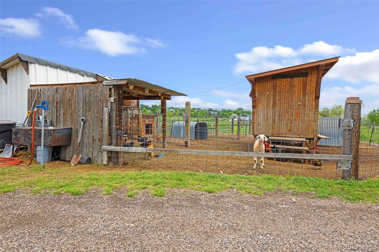 MLS Image #37 for 7587  wright court,arvada, Colorado