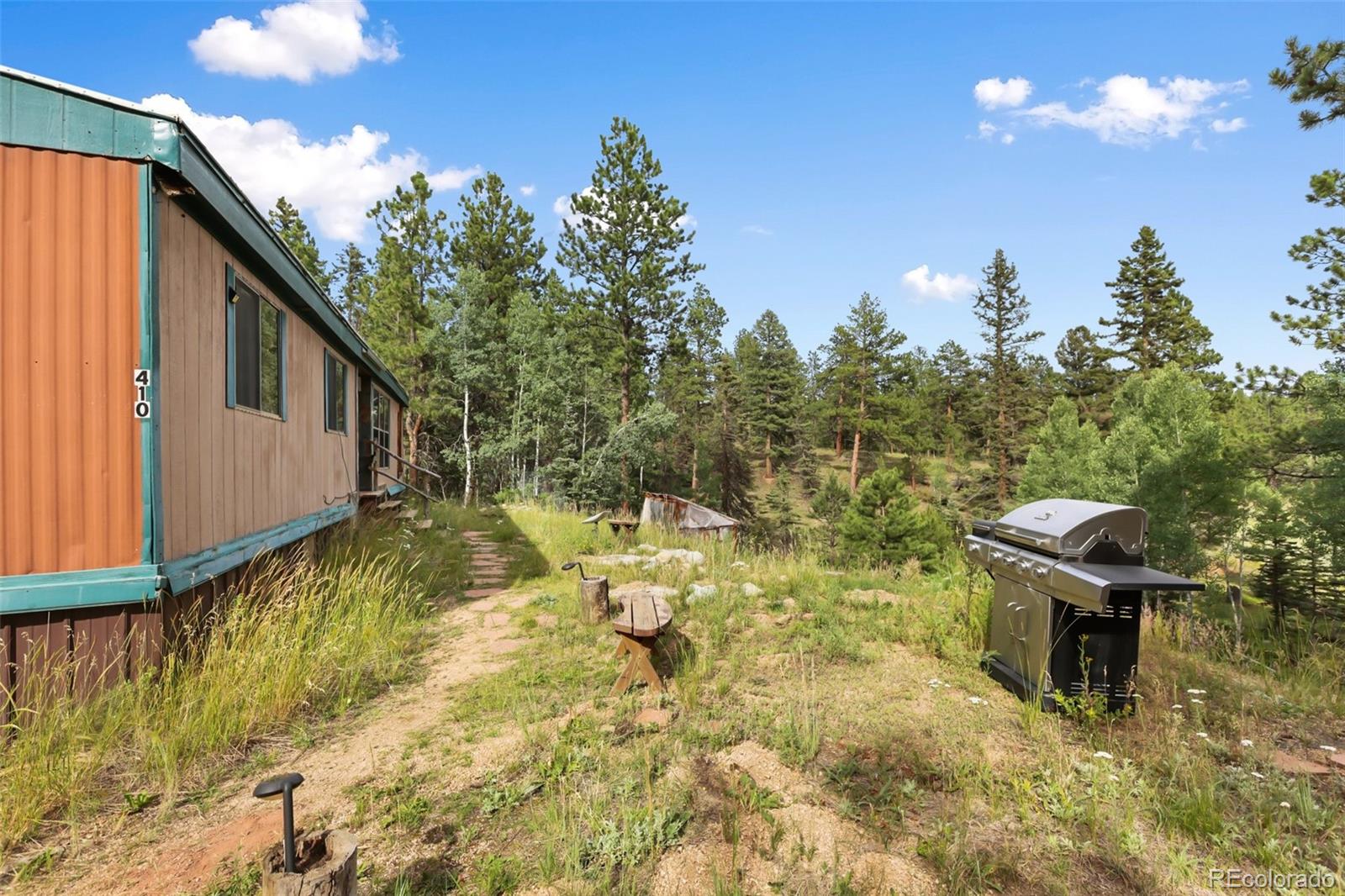 MLS Image #1 for 410  rangeview road,divide, Colorado