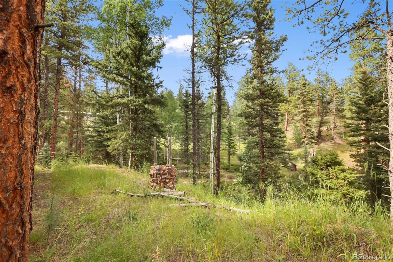MLS Image #15 for 410  rangeview road,divide, Colorado