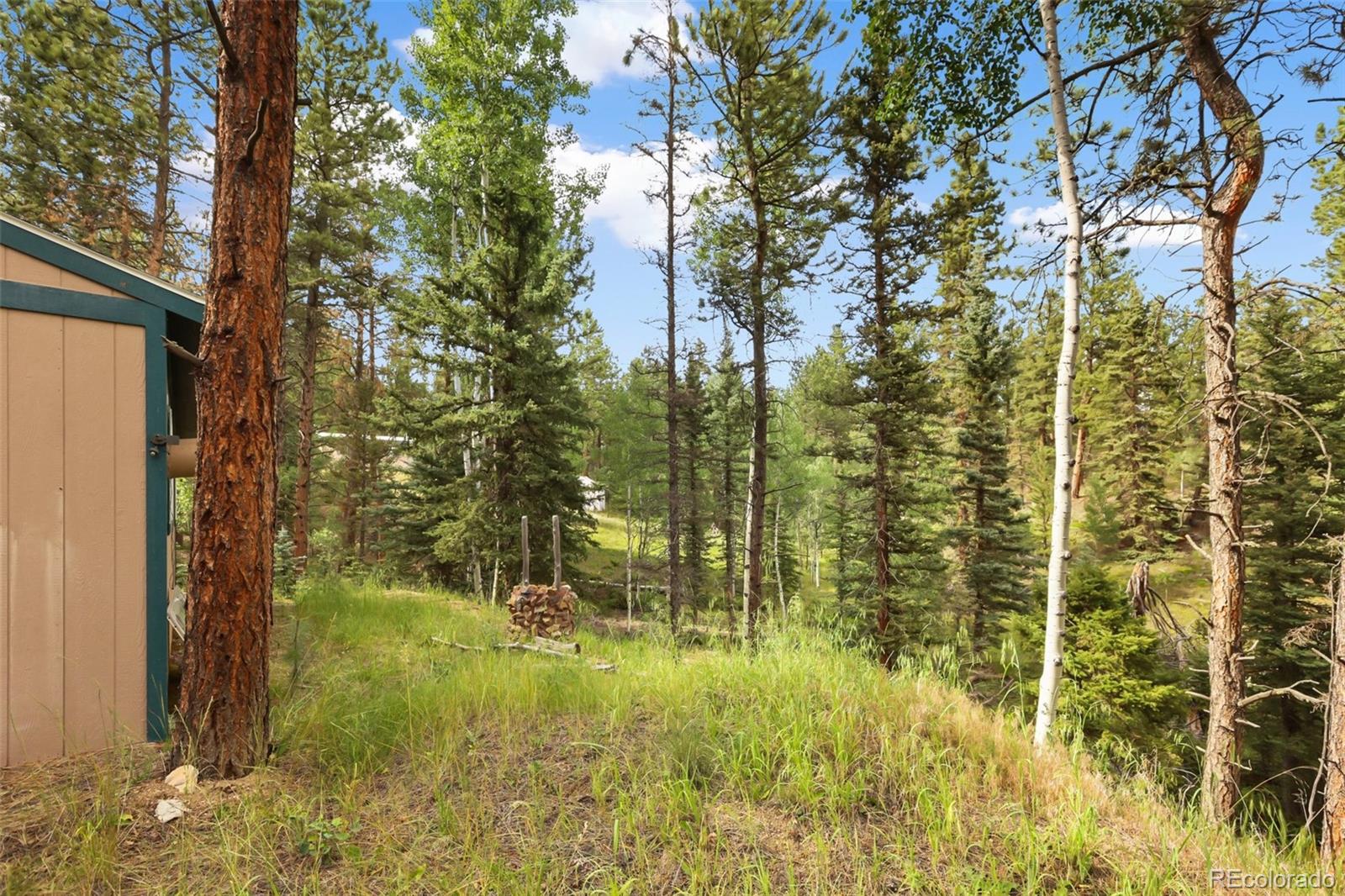 MLS Image #17 for 410  rangeview road,divide, Colorado