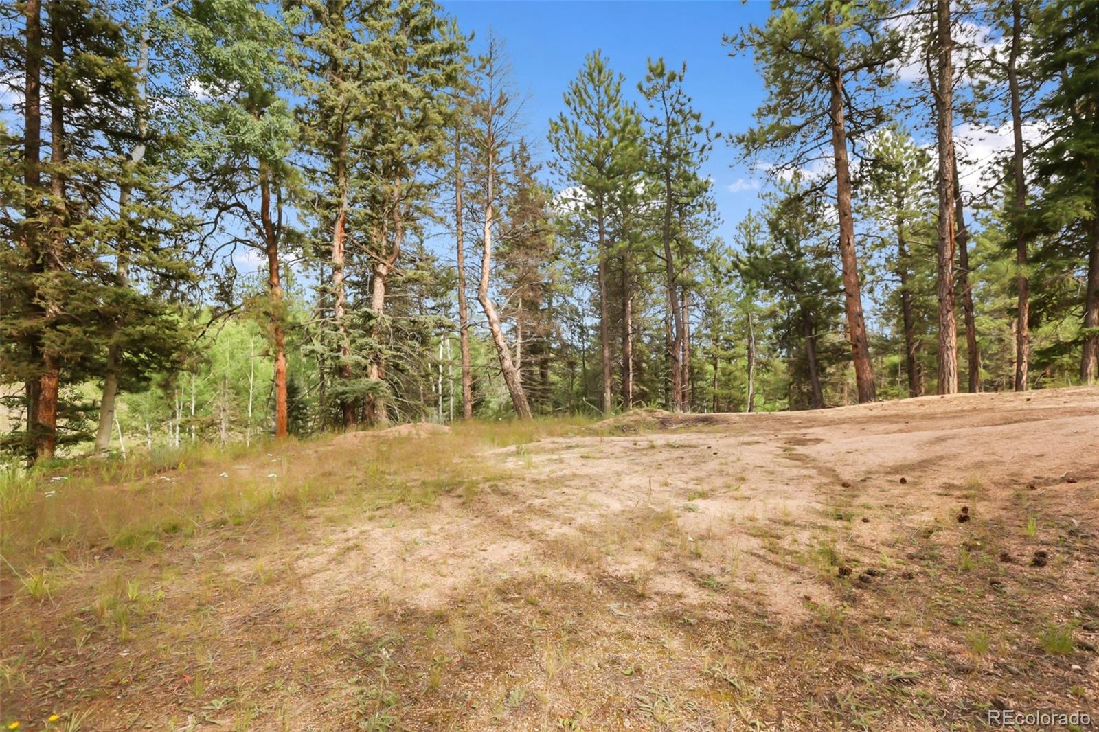 MLS Image #18 for 410  rangeview road,divide, Colorado
