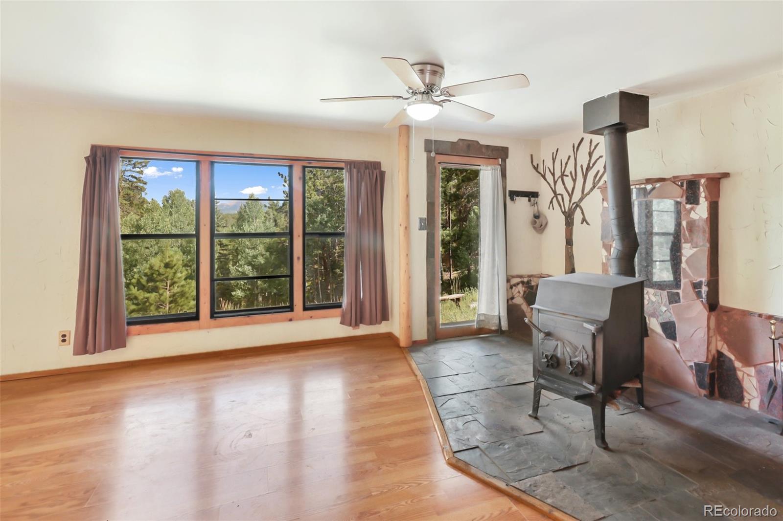 MLS Image #2 for 410  rangeview road,divide, Colorado