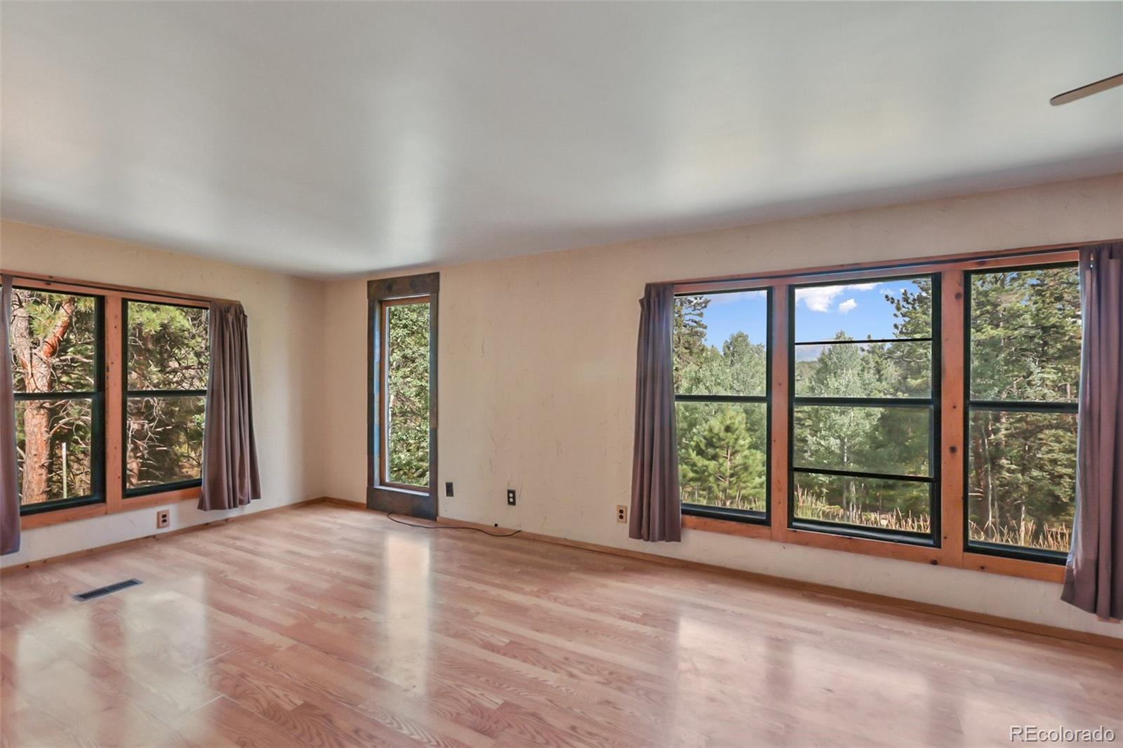MLS Image #3 for 410  rangeview road,divide, Colorado