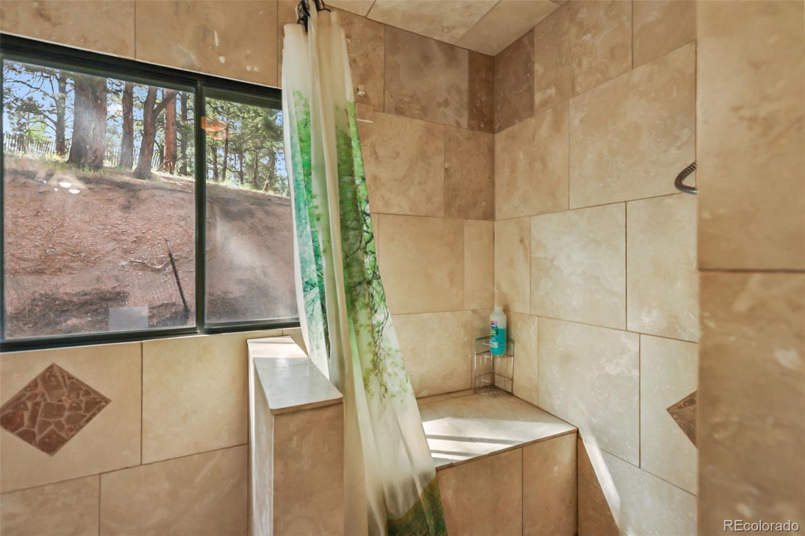 MLS Image #9 for 410  rangeview road,divide, Colorado