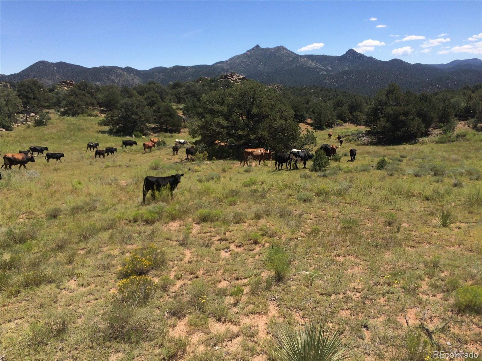 MLS Image #10 for 7200  state highway 69 ,cotopaxi, Colorado