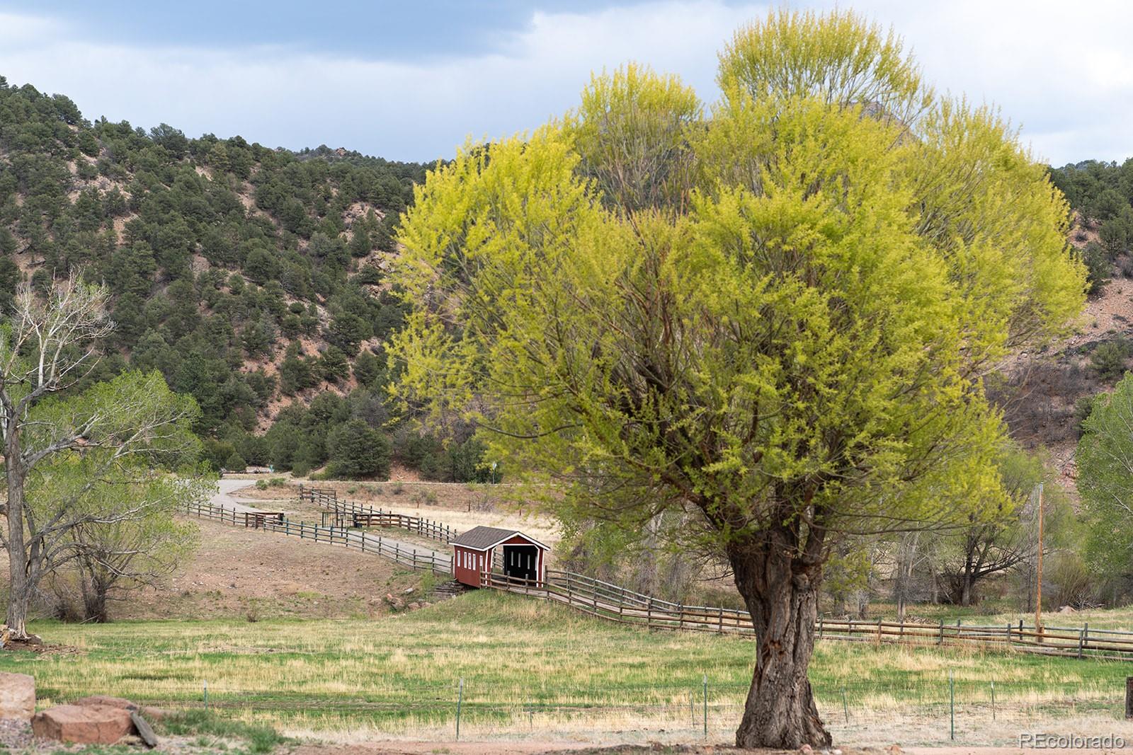 MLS Image #37 for 7200  state highway 69 ,cotopaxi, Colorado