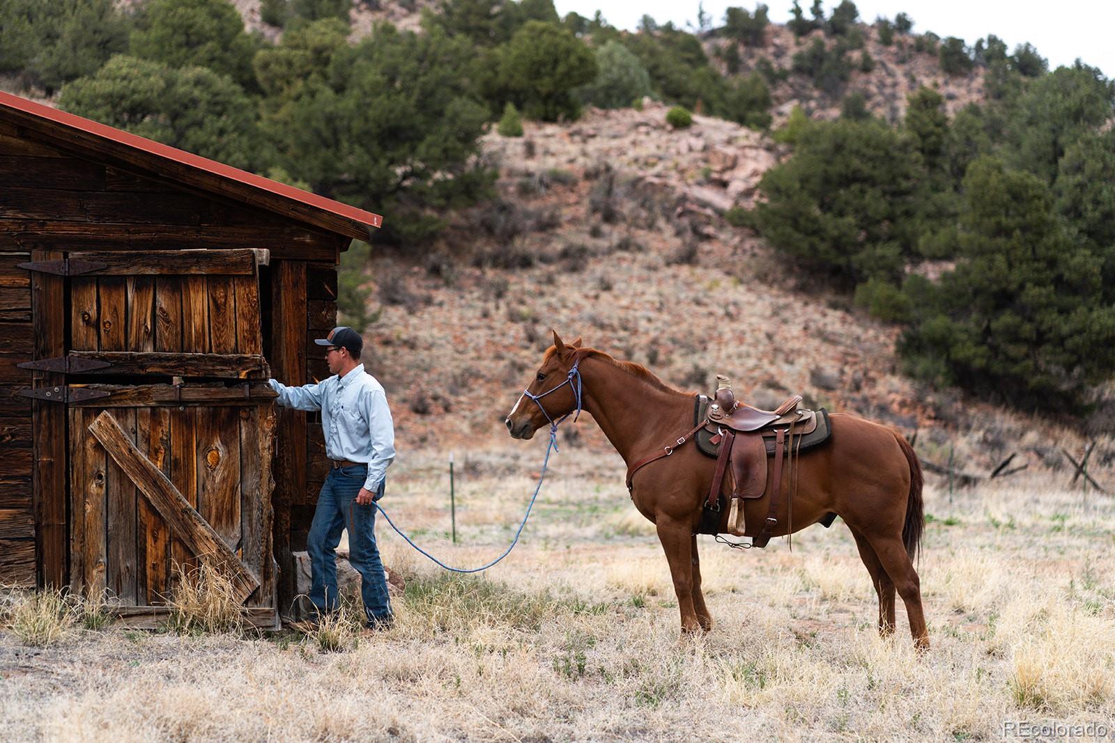 MLS Image #45 for 7200  state highway 69 ,cotopaxi, Colorado