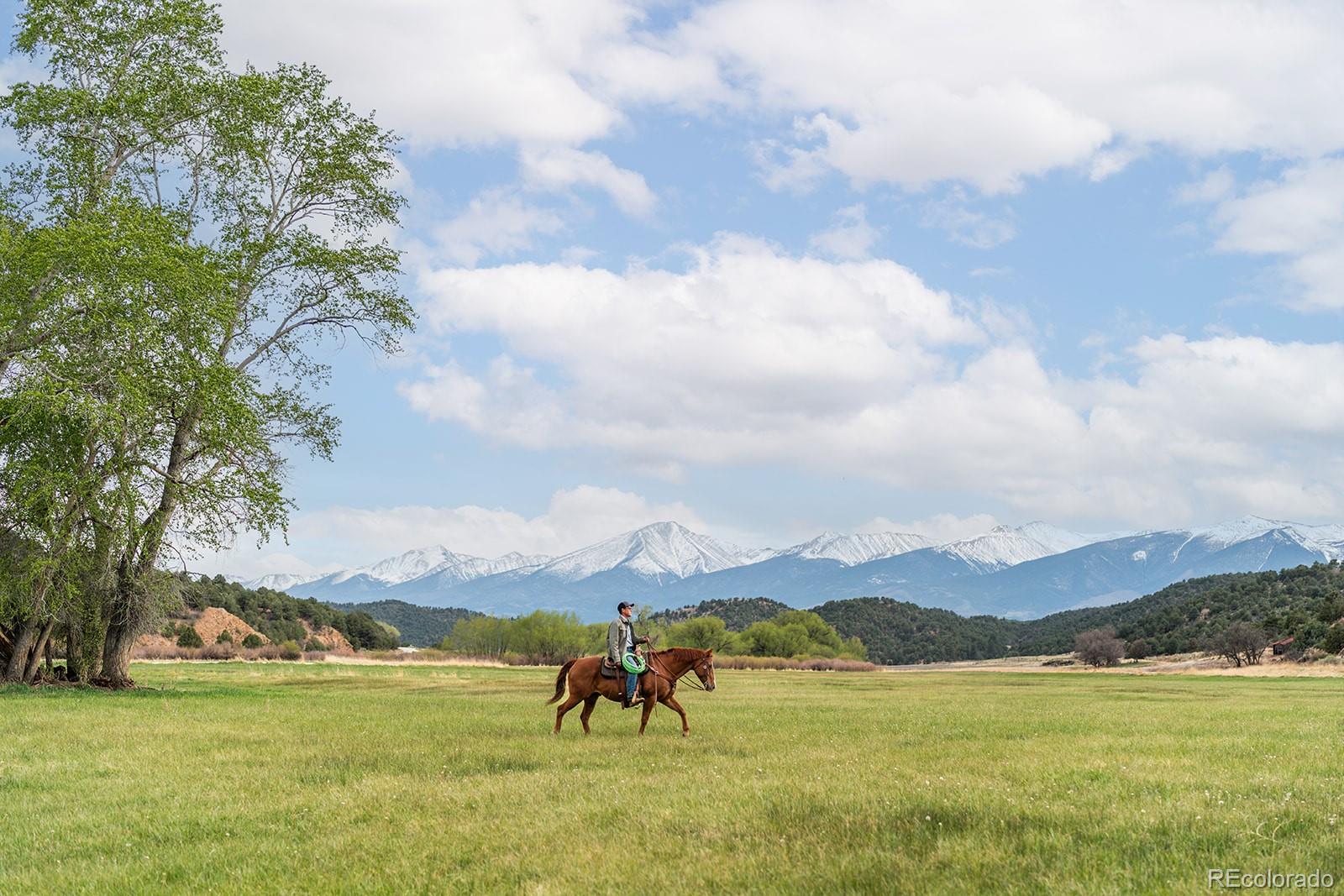 MLS Image #6 for 7200  state highway 69 ,cotopaxi, Colorado