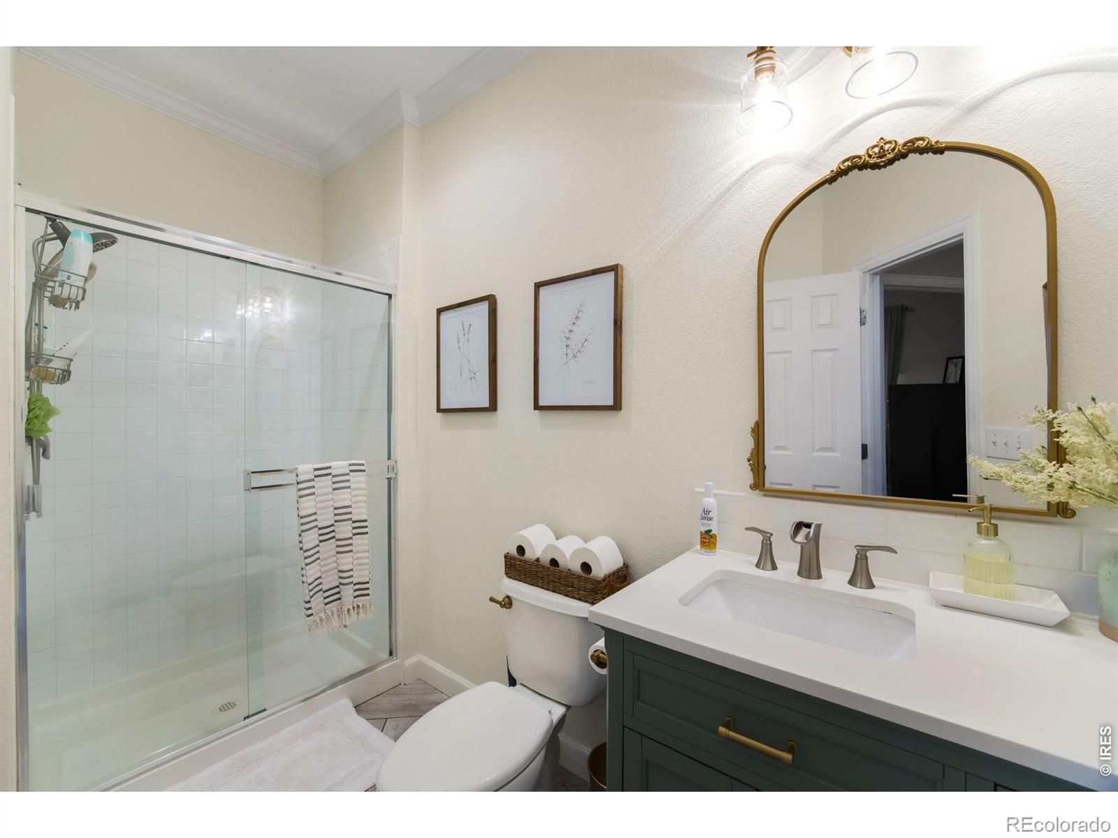 MLS Image #18 for 6386  mayfair avenue,timnath, Colorado