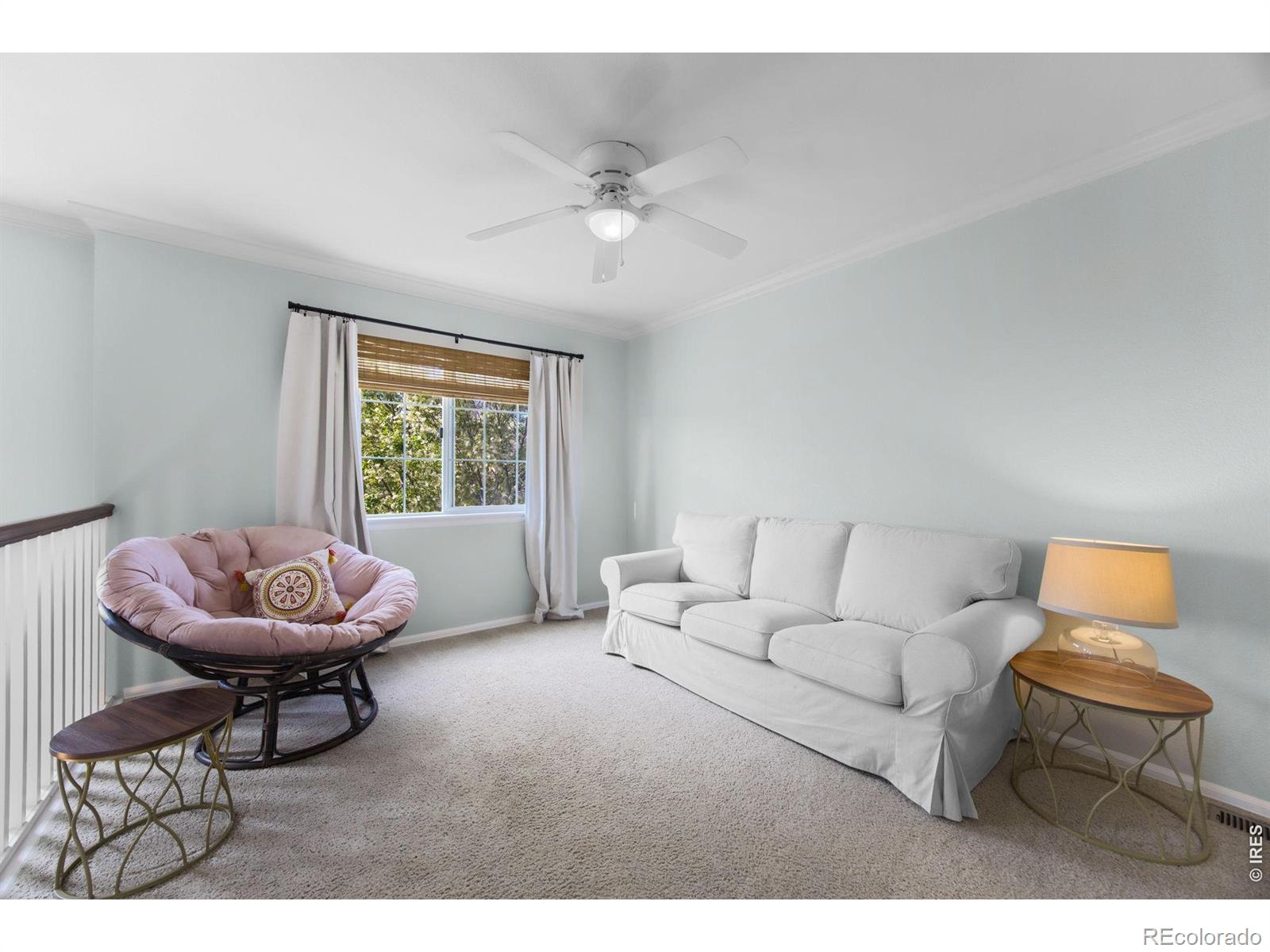 MLS Image #22 for 6386  mayfair avenue,timnath, Colorado