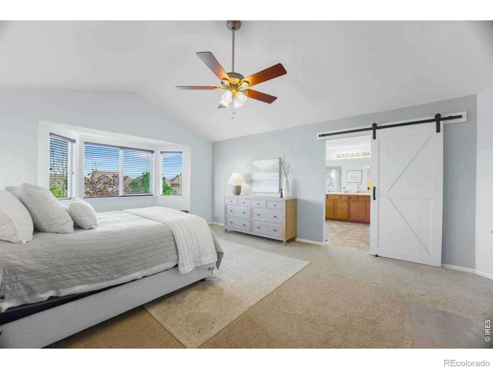 MLS Image #29 for 6386  mayfair avenue,timnath, Colorado