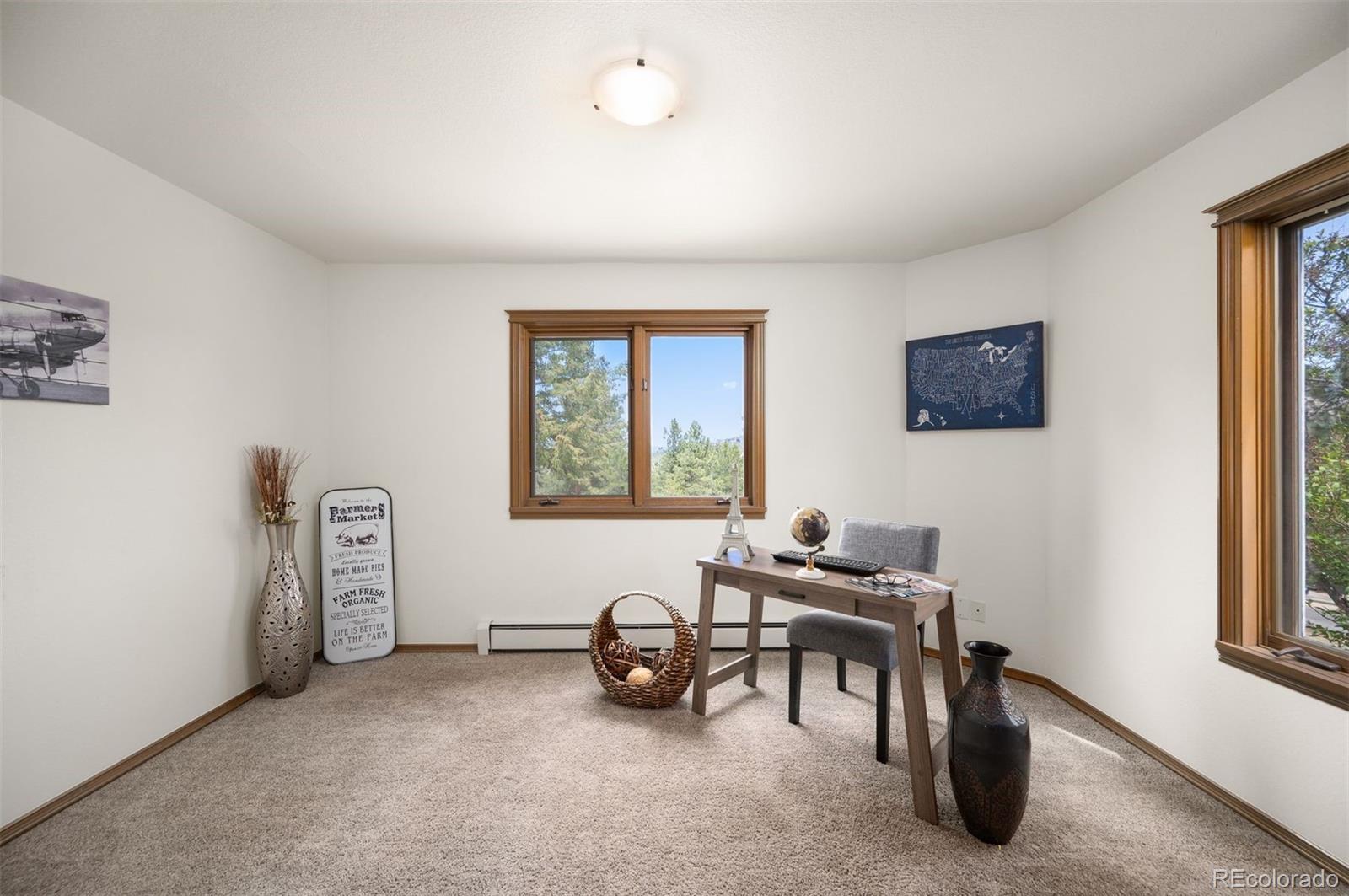 MLS Image #14 for 5939 s skyline drive,evergreen, Colorado