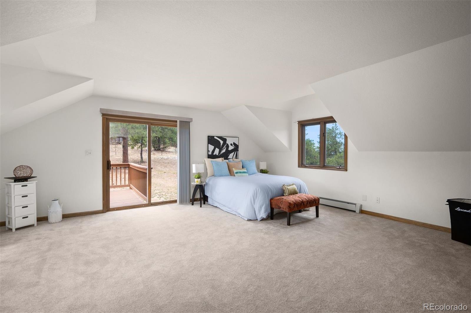 MLS Image #17 for 5939 s skyline drive,evergreen, Colorado