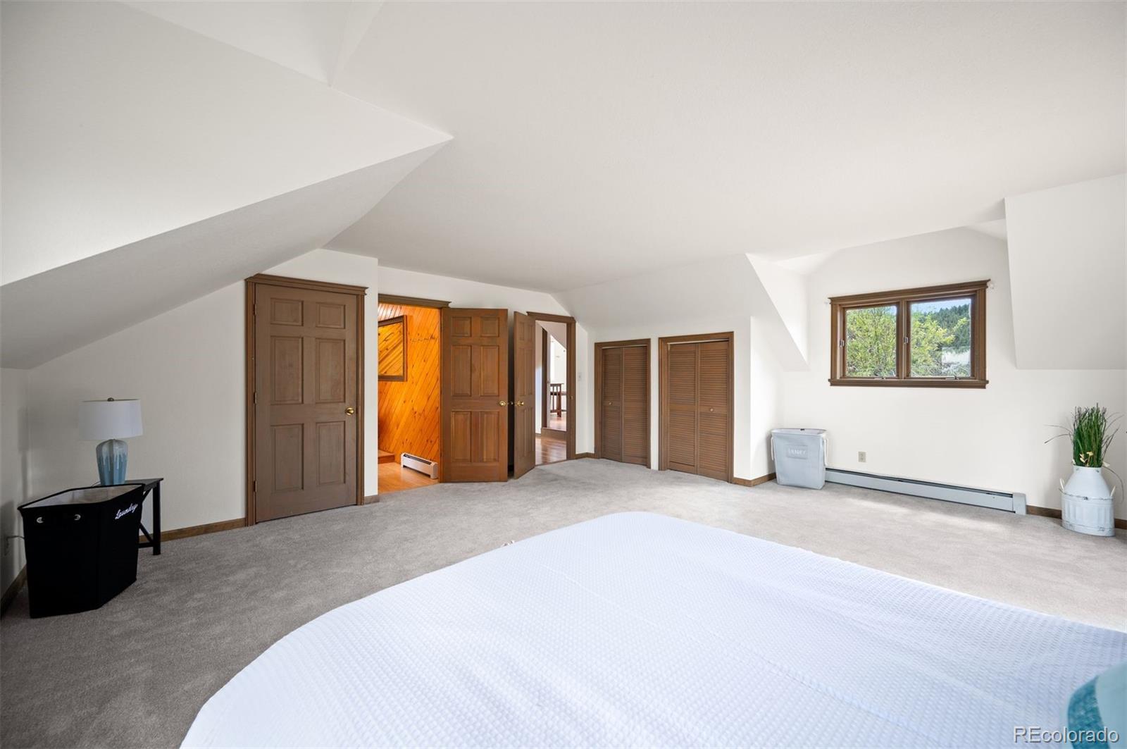 MLS Image #18 for 5939 s skyline drive,evergreen, Colorado