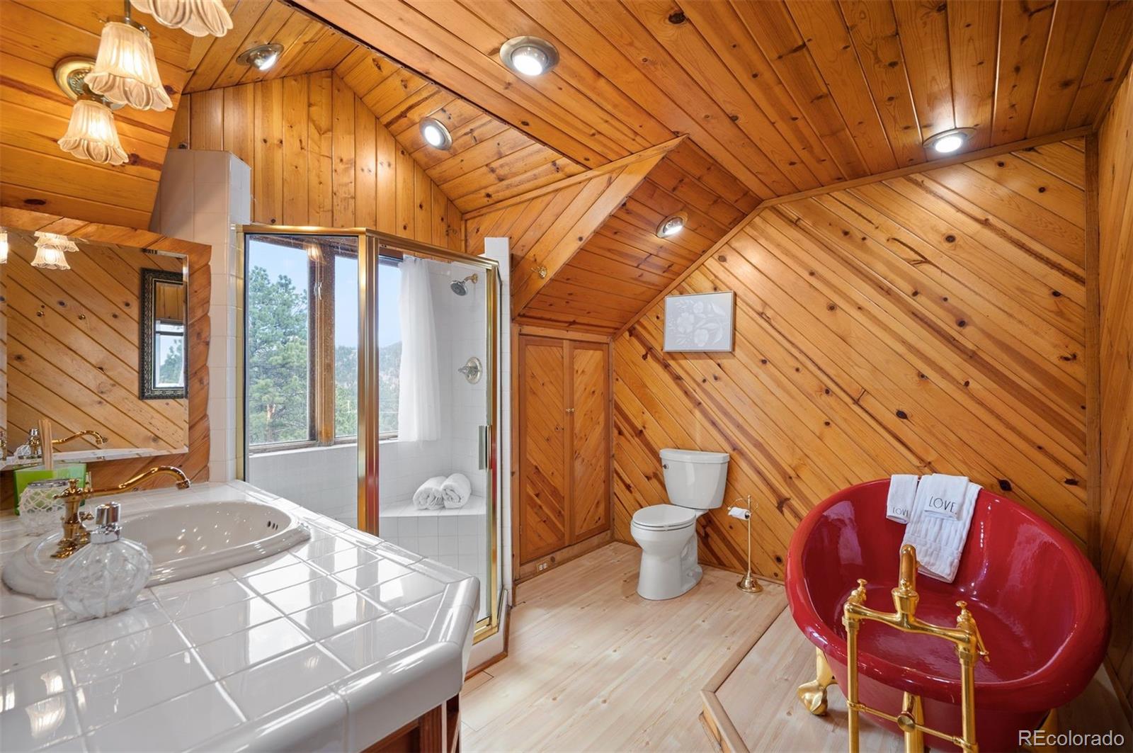 MLS Image #19 for 5939 s skyline drive,evergreen, Colorado