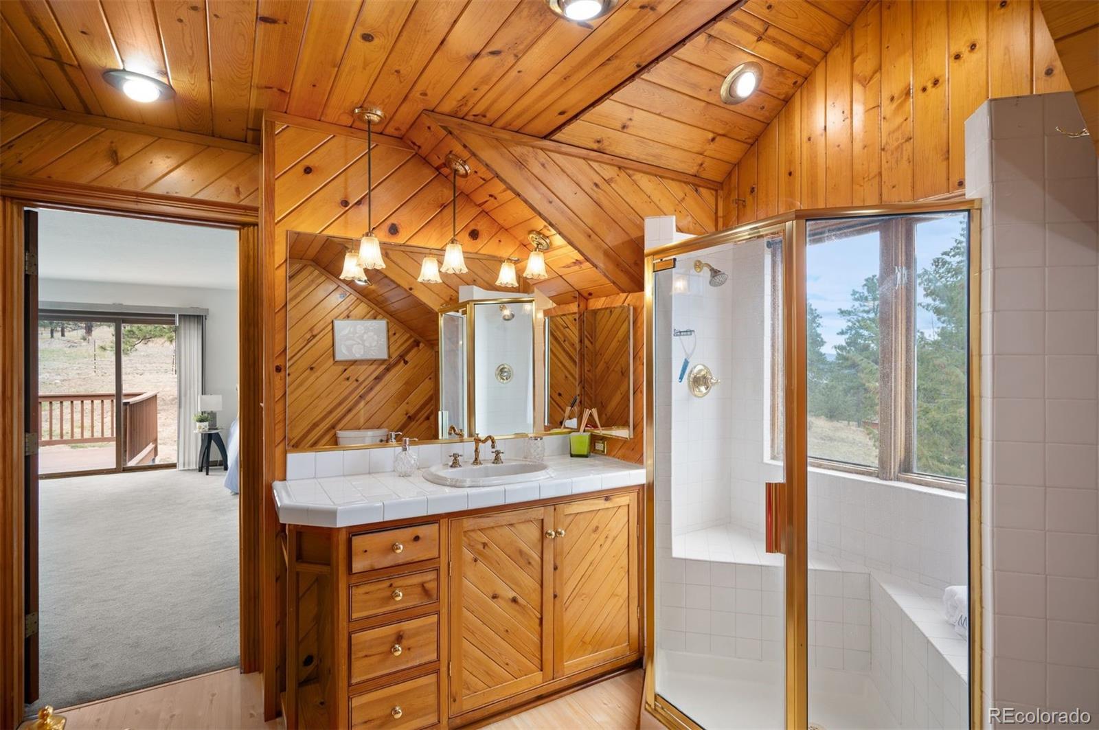 MLS Image #20 for 5939 s skyline drive,evergreen, Colorado