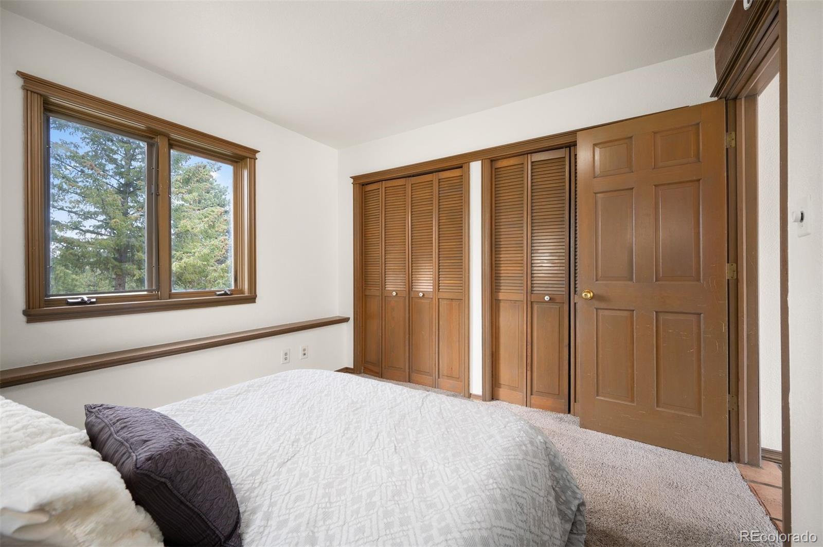 MLS Image #24 for 5939 s skyline drive,evergreen, Colorado