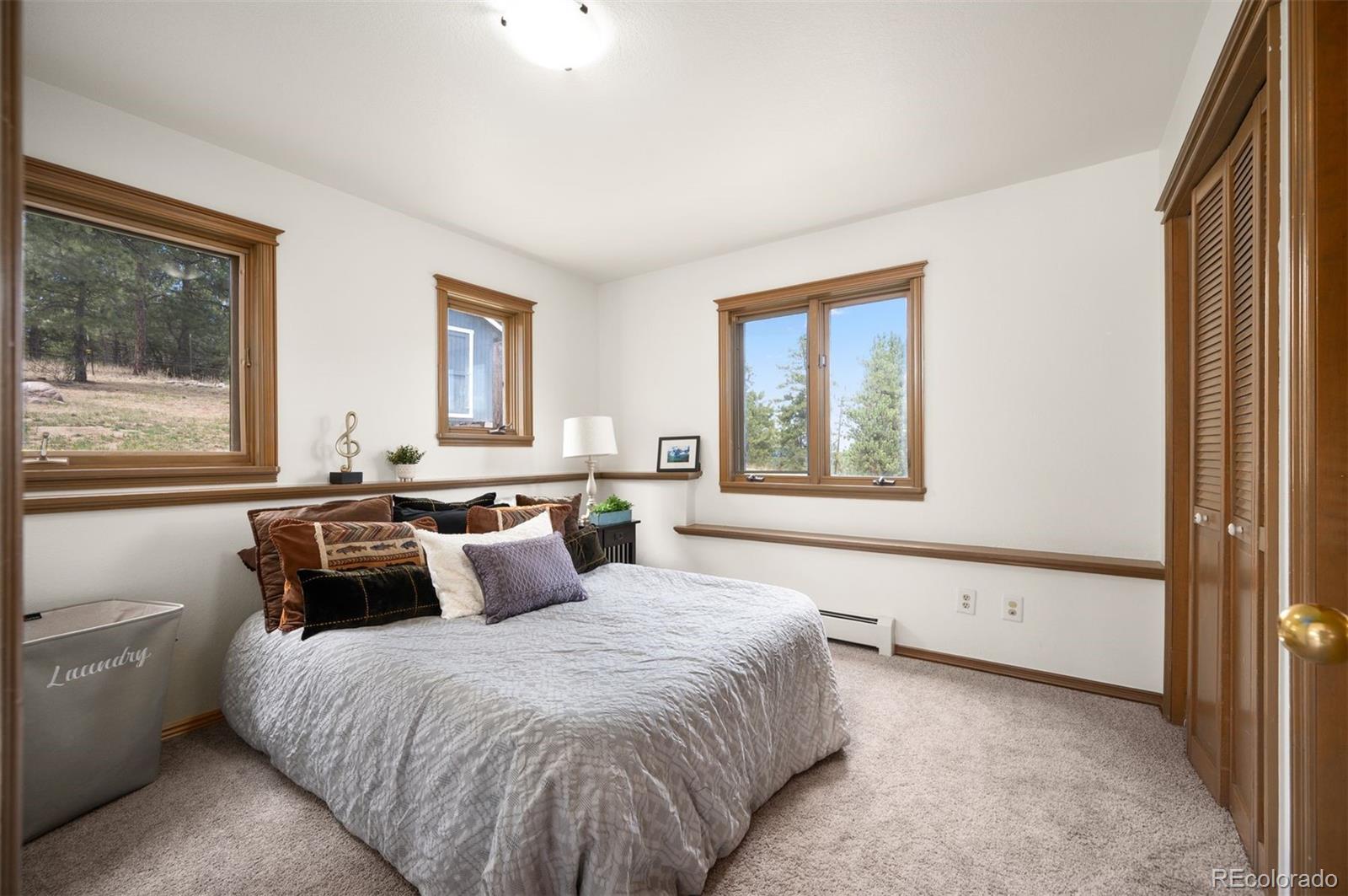 MLS Image #25 for 5939 s skyline drive,evergreen, Colorado