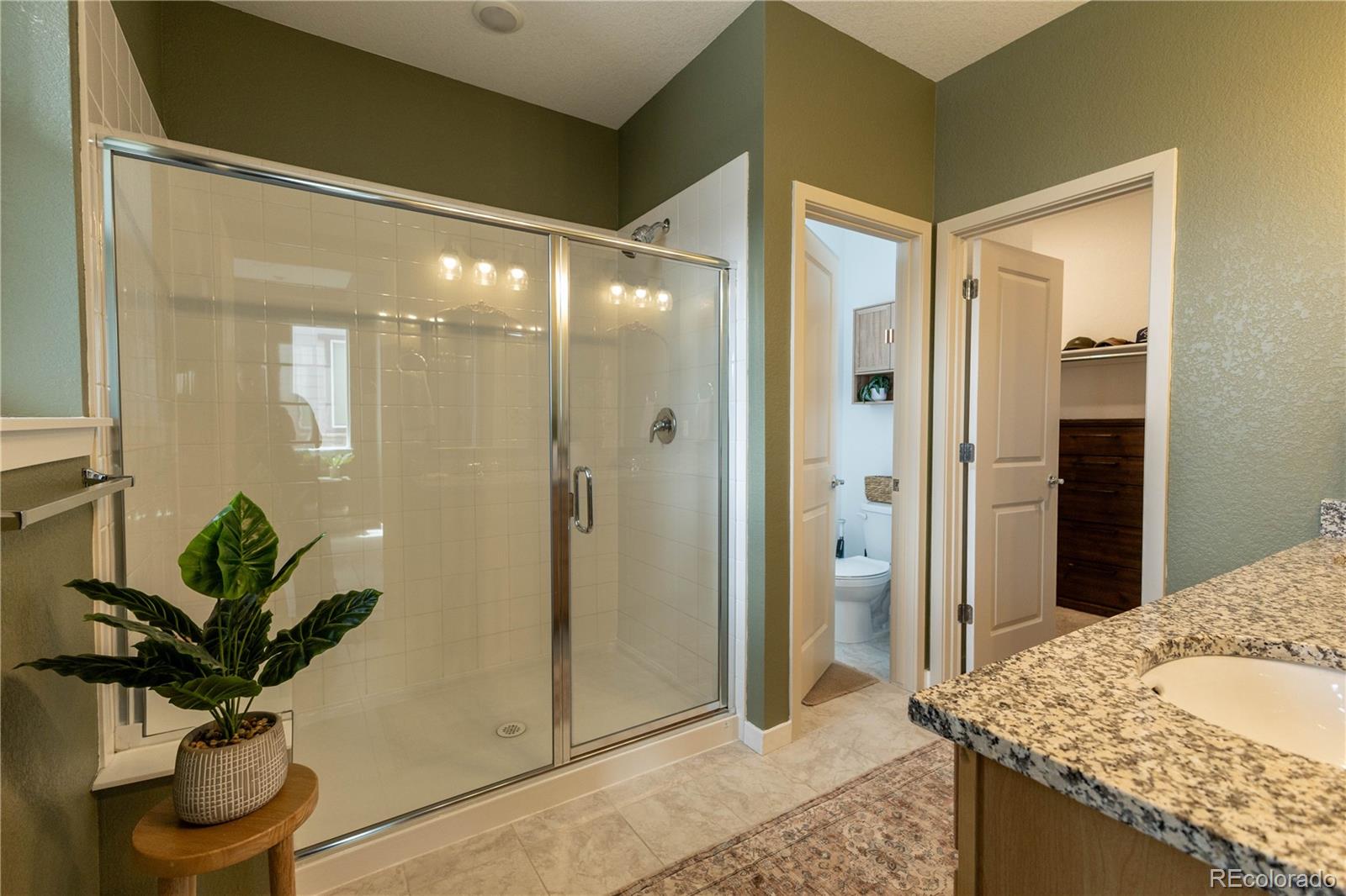 MLS Image #10 for 8696  hotchkiss street,littleton, Colorado