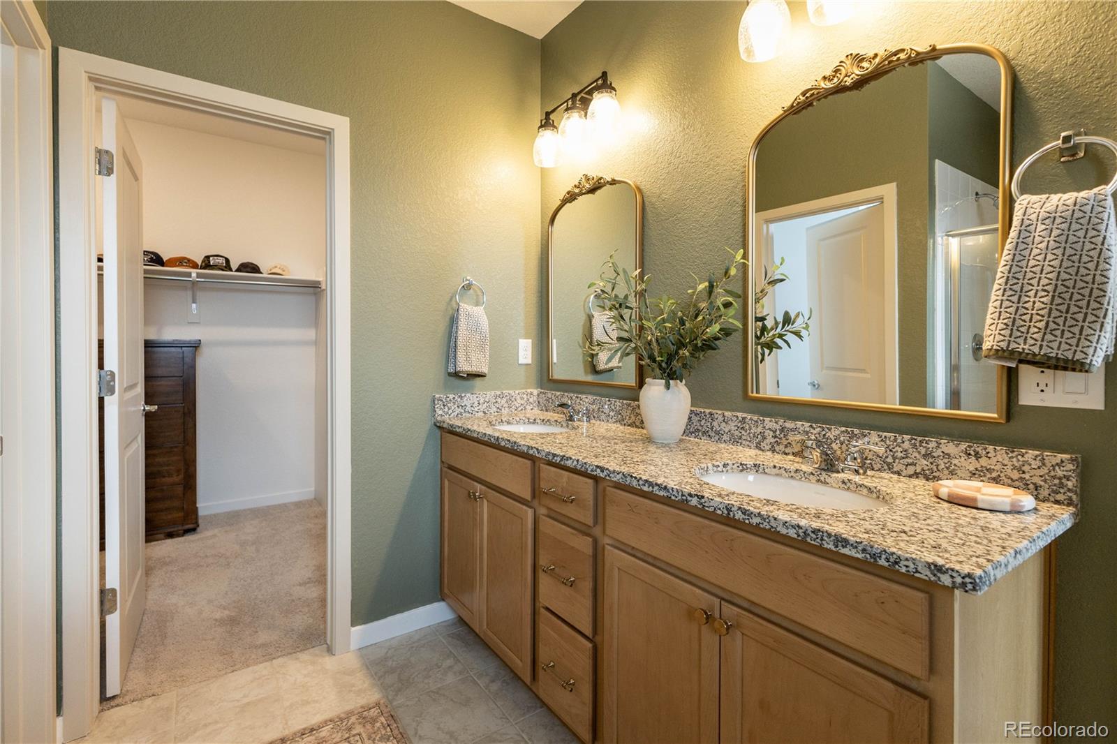 MLS Image #11 for 8696  hotchkiss street,littleton, Colorado