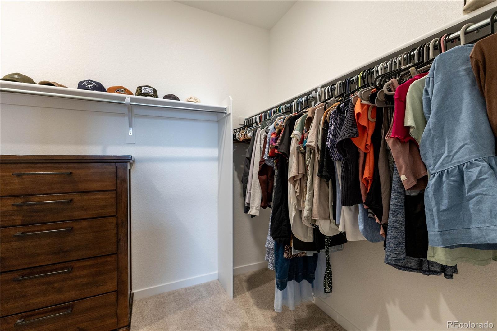 MLS Image #12 for 8696  hotchkiss street,littleton, Colorado
