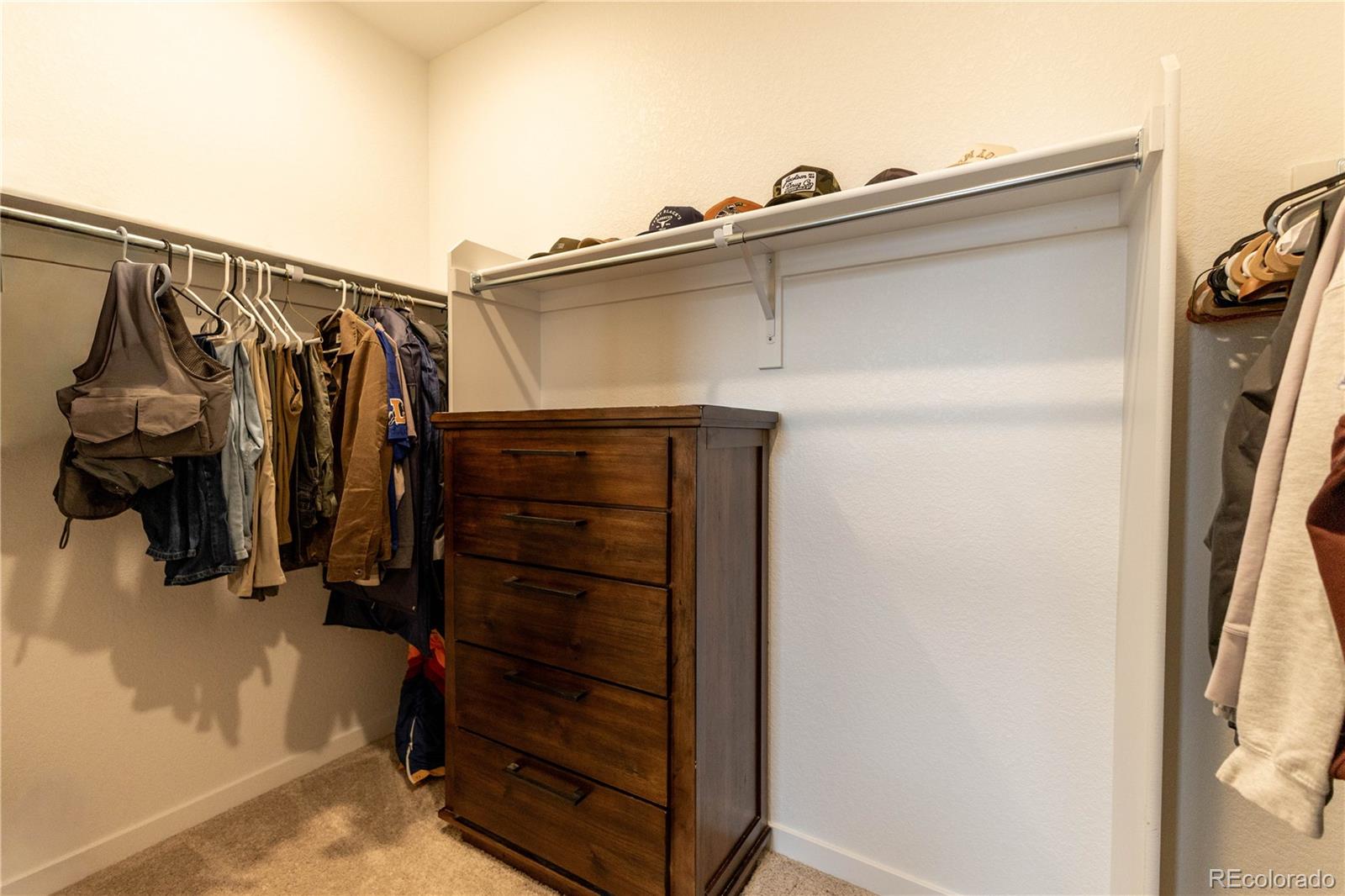 MLS Image #13 for 8696  hotchkiss street,littleton, Colorado