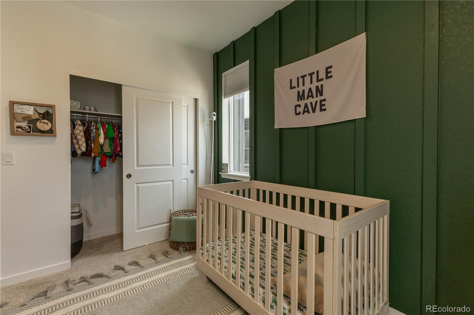 MLS Image #16 for 8696  hotchkiss street,littleton, Colorado
