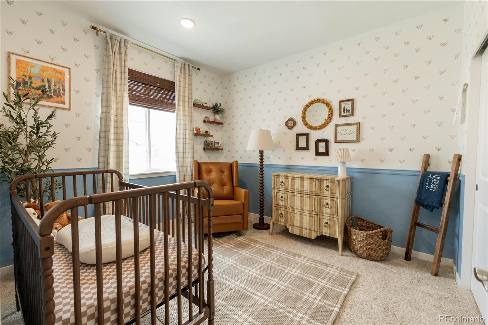 MLS Image #17 for 8696  hotchkiss street,littleton, Colorado