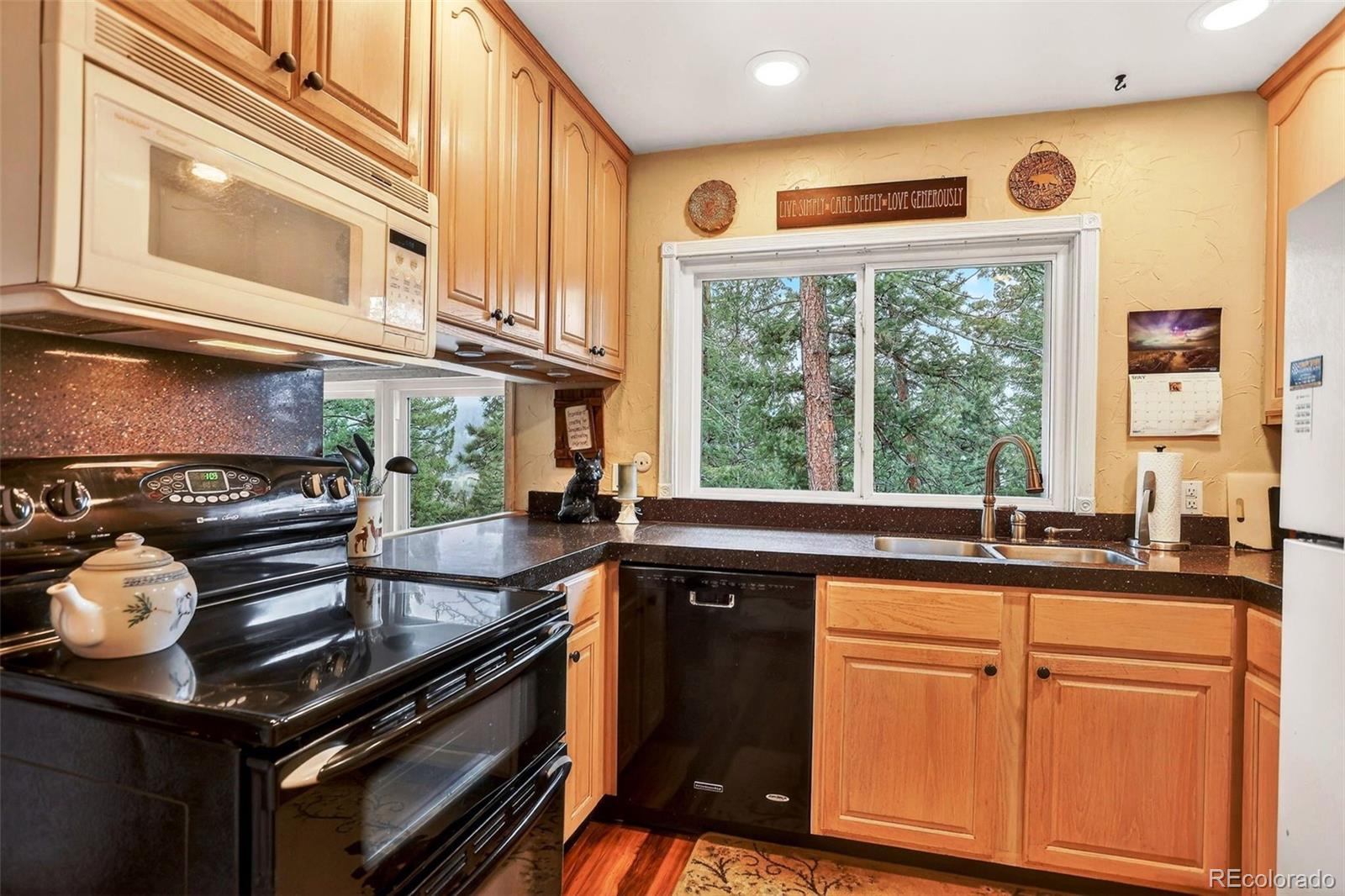 MLS Image #14 for 28221  bonanza drive,evergreen, Colorado